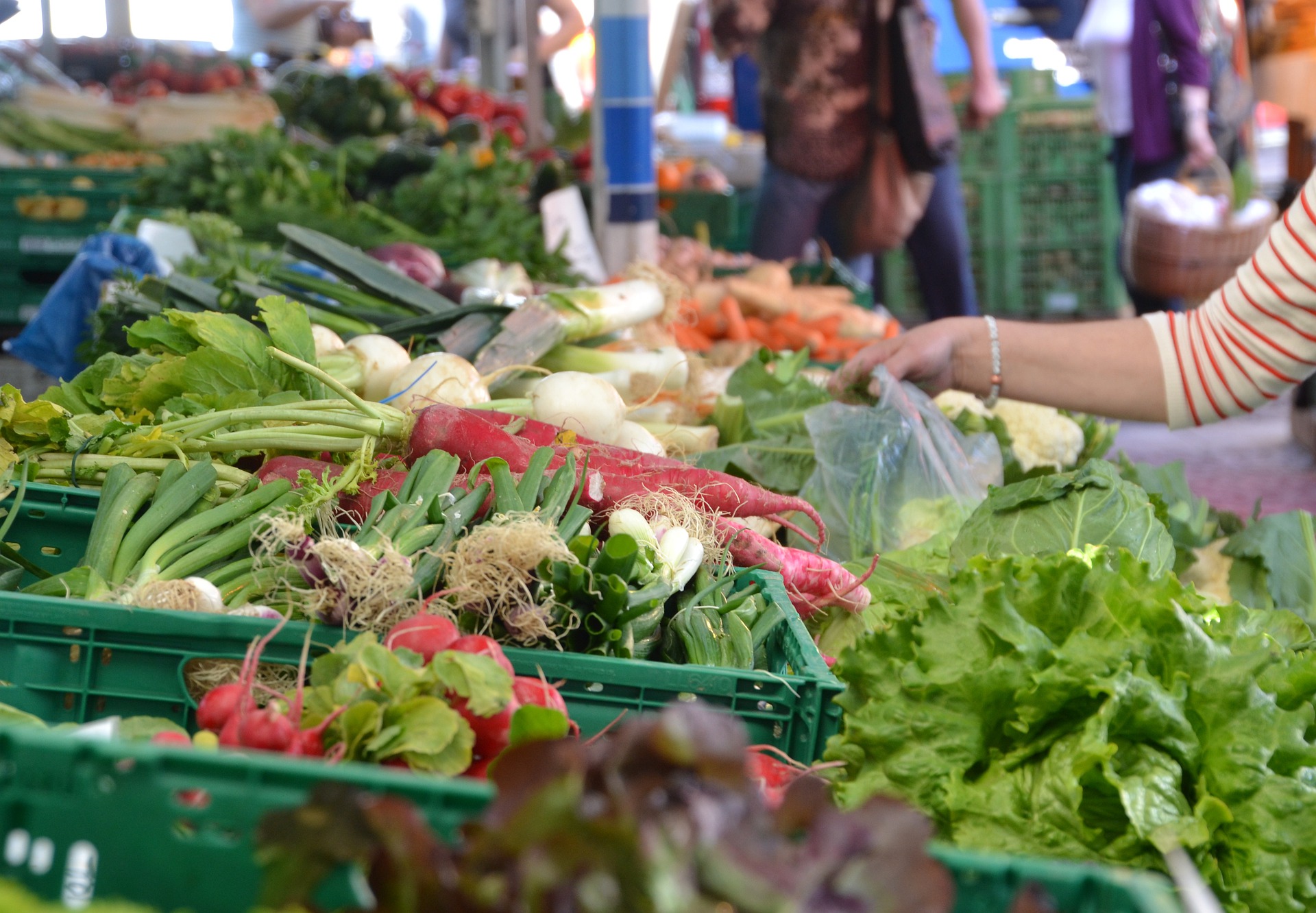 Marin Farmers Market